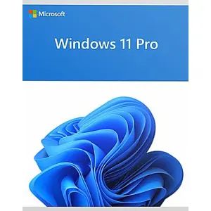 Operating system WIN 11 Professional 64BIT ENG
